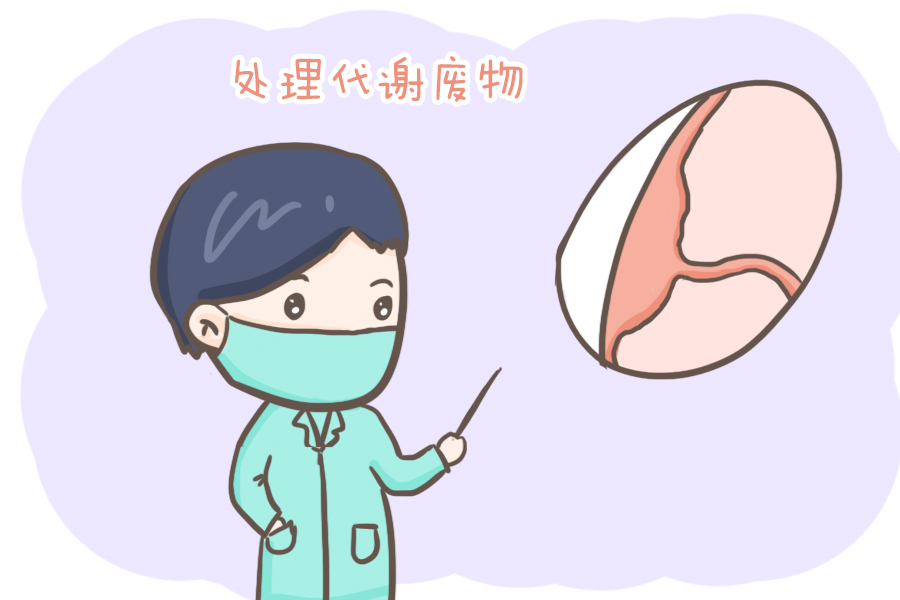 待产时，婆婆提出产后要产妇吃胎盘，却被回绝，胎盘真没那么神奇