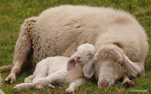 令人动容的图片,令人动容的电影大全