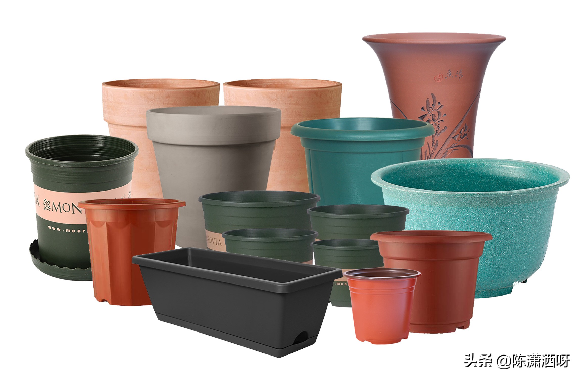 常见花卉花盆图片大全,各种花盆的优缺点图片介绍