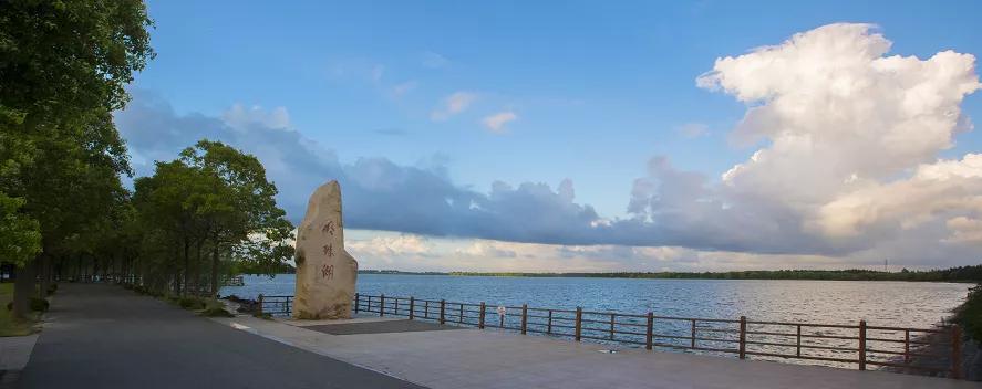 上海抗击肺炎,上海闵行区新冠肺炎疫情最新消息