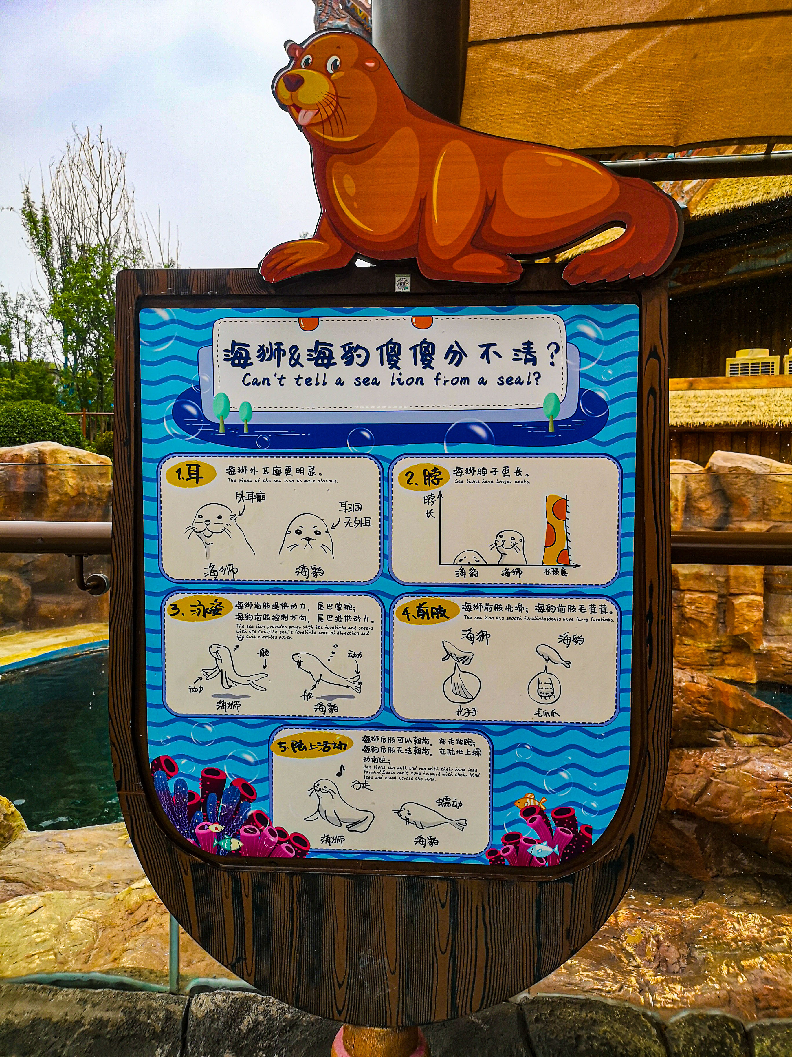 暑期郑州银基动物王国旅游,郑州市区怎么去银基动物王国