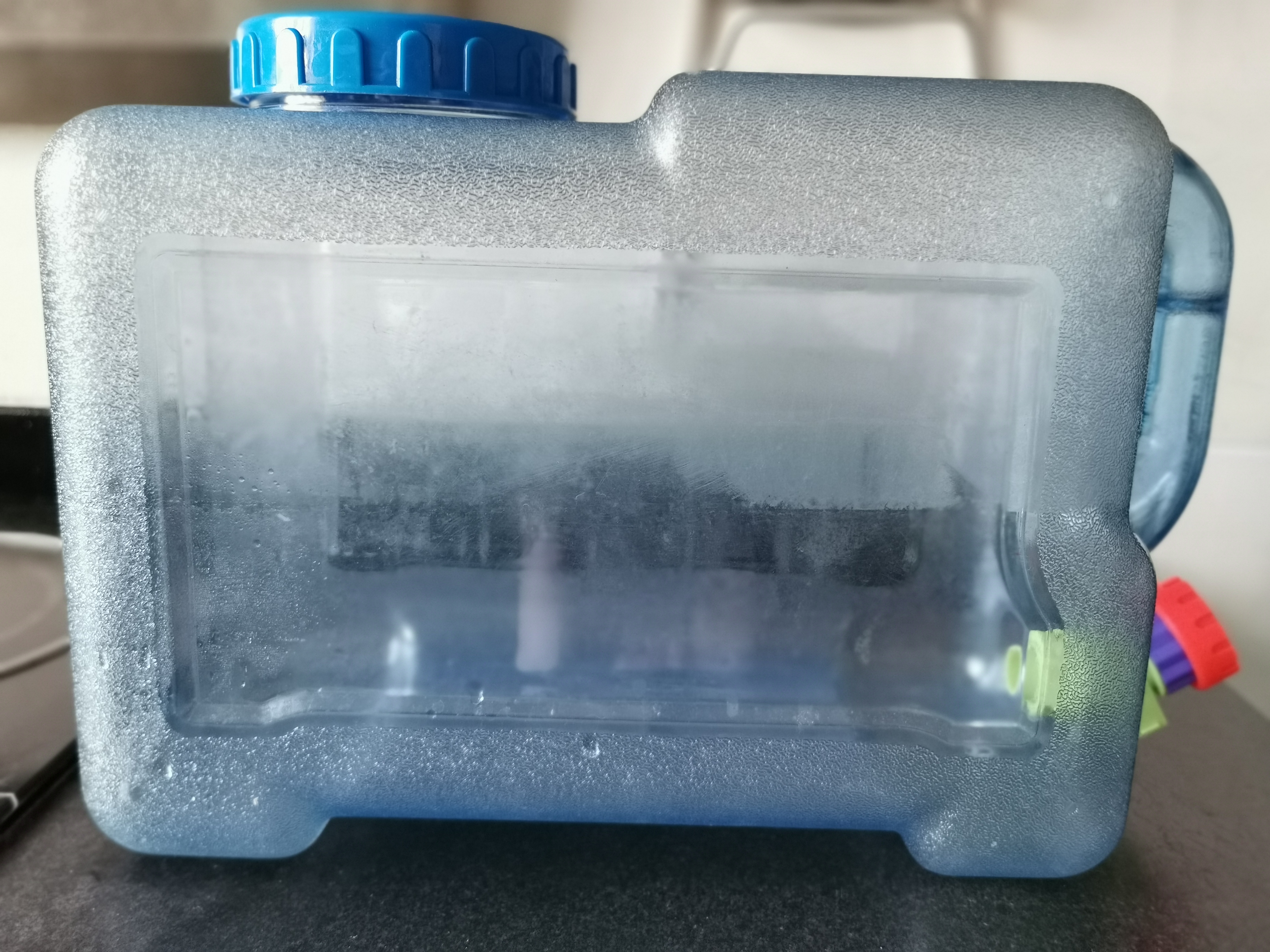 带狗爬山需要准备的装备大合集,准备带狗狗去旅行