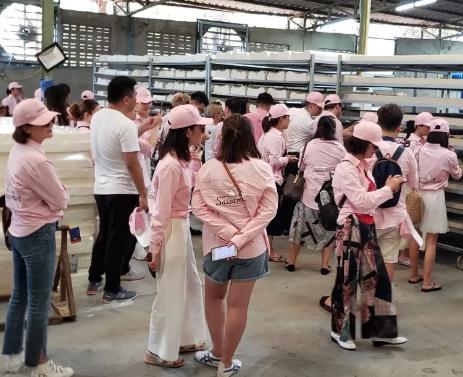 赛莎梦乳胶内衣直销,泰国赛梦莎乳胶内衣价格