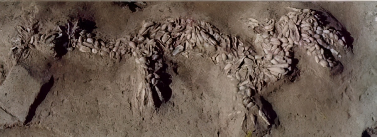 河南濮阳华龙区旅游攻略,河南省濮阳市华龙区游玩景点