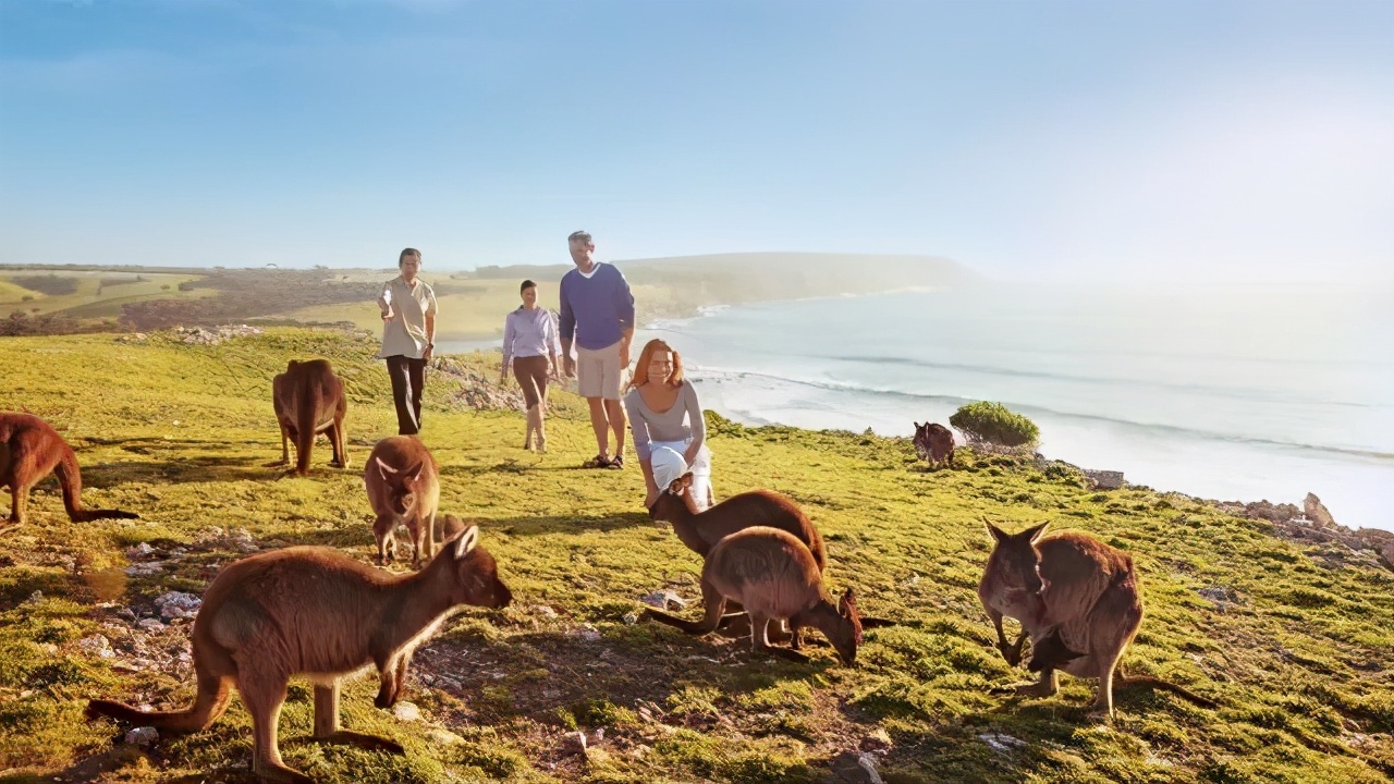 澳大利亚值得孩子去的旅游,春节去澳大利亚旅游