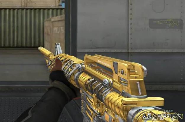 白鲨直播谈新赛季,白鲨直播谈下赛季