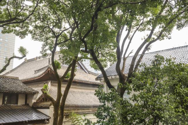 这所“相貌平平”的幼儿园，为什么宁波家长排着队想把孩子送进去