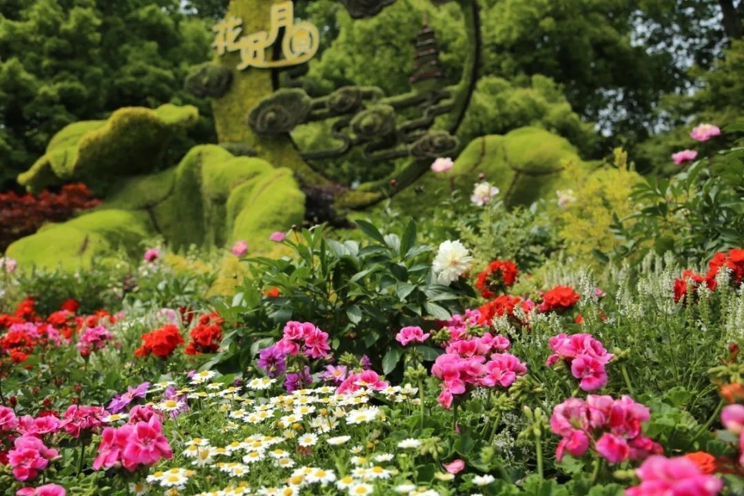 欣赏西湖的全景太美了,西湖美景实在美怎么也看不够