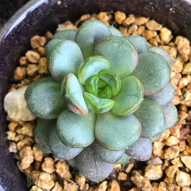 顺风不浪逆风不怂文字图片,顺风不飘逆风不怂绝境不慌