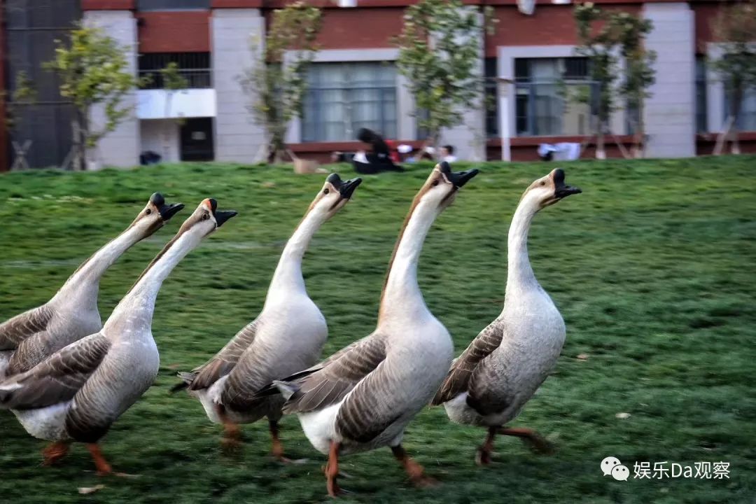 云南民大,云南民大怎么样