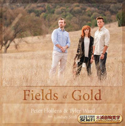 一万元组建hifi系统,新手该如何组建一套hifi系统