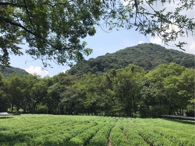 九溪避暑好去处,九宫山避暑胜地亲子游