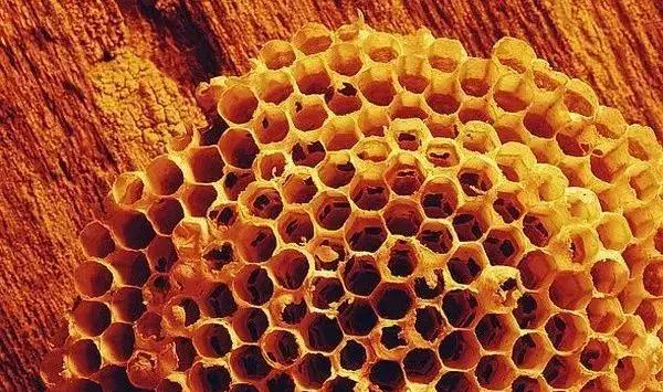 木蜡油和桐油漆有什么区别,油漆水性漆木蜡油出来效果对比