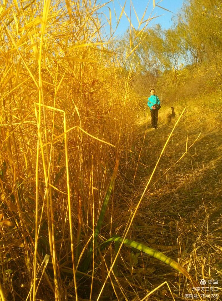 玉泉山北坞公园介绍,北坞村玉泉山