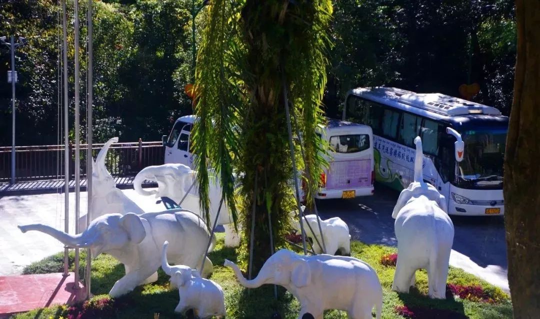 生活在西双版纳其实就是一种幸福,生活在云南幸福吗