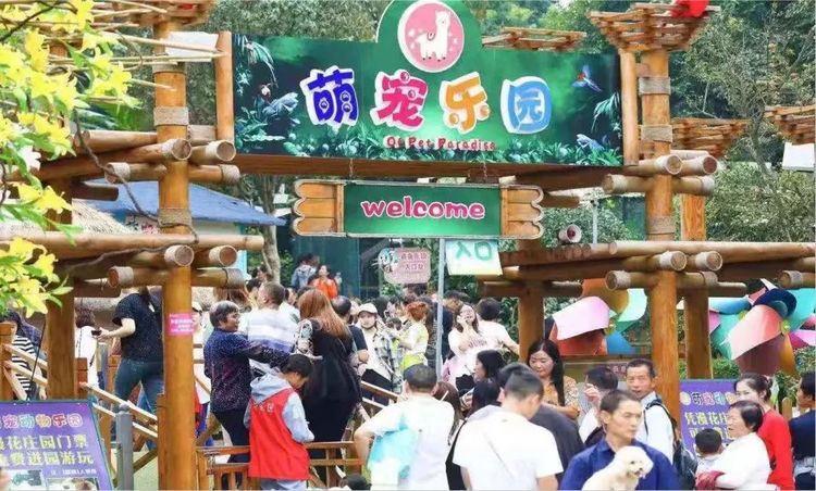 新春打卡重庆香水百合网红艺术节,坐小火车、玩玻璃滑道...