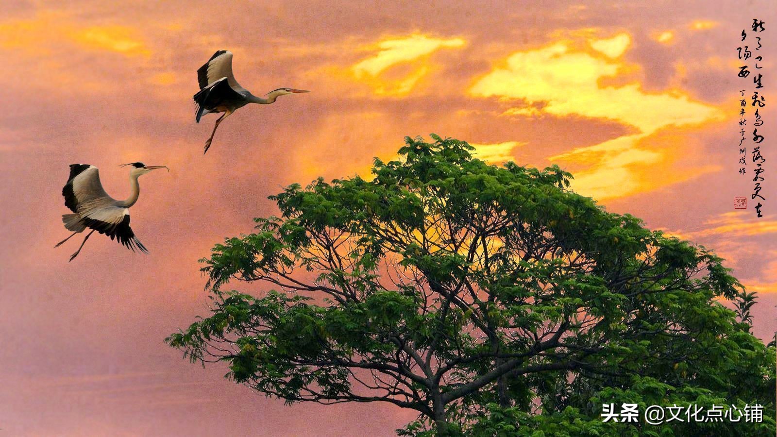 床前明月光诗里面床指的什么意思,古诗床前明月光这个床指的是什么