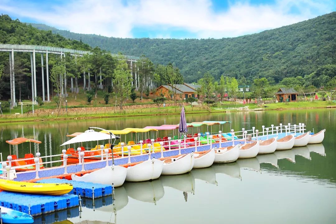 房车露营旅行推荐,自驾出游露营野炊房车营地