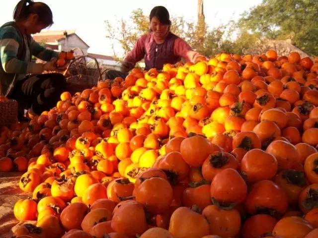 我在长武刚刚好,何必羡慕北上广