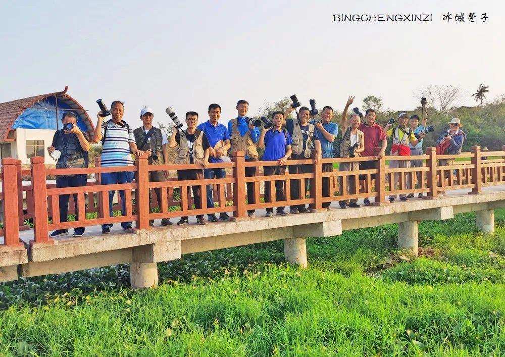 做把“村姑”,走进海南灯火灿烂的火龙果园