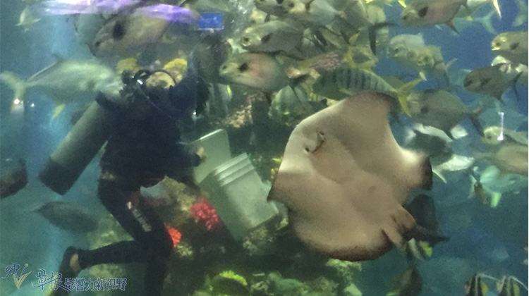 越南自驾游一日游视频,越南一日游芒街和谅山