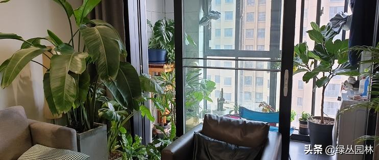 武汉养花技术哪里培训,北京养花小技巧