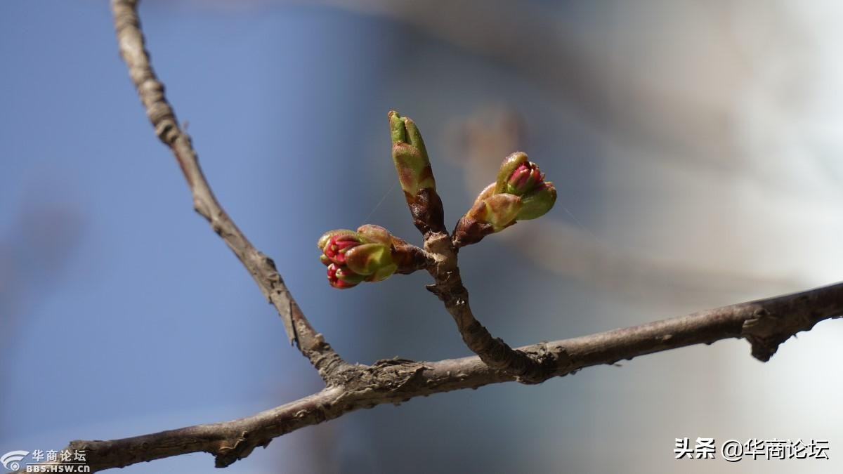 疫情下的城市生活纪录片,西安疫情每天新增记录图