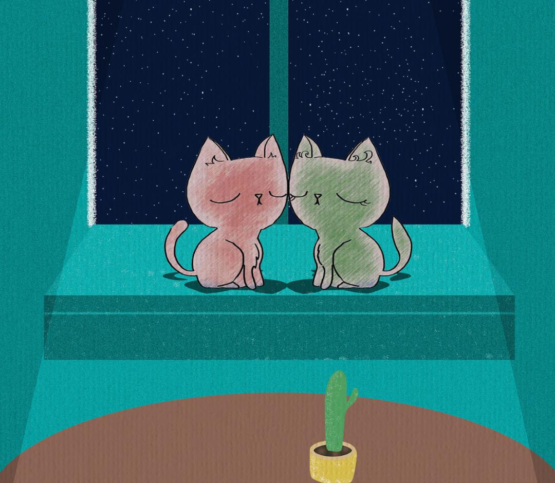 种猫繁育公母的最佳年龄,种猫繁殖全过程