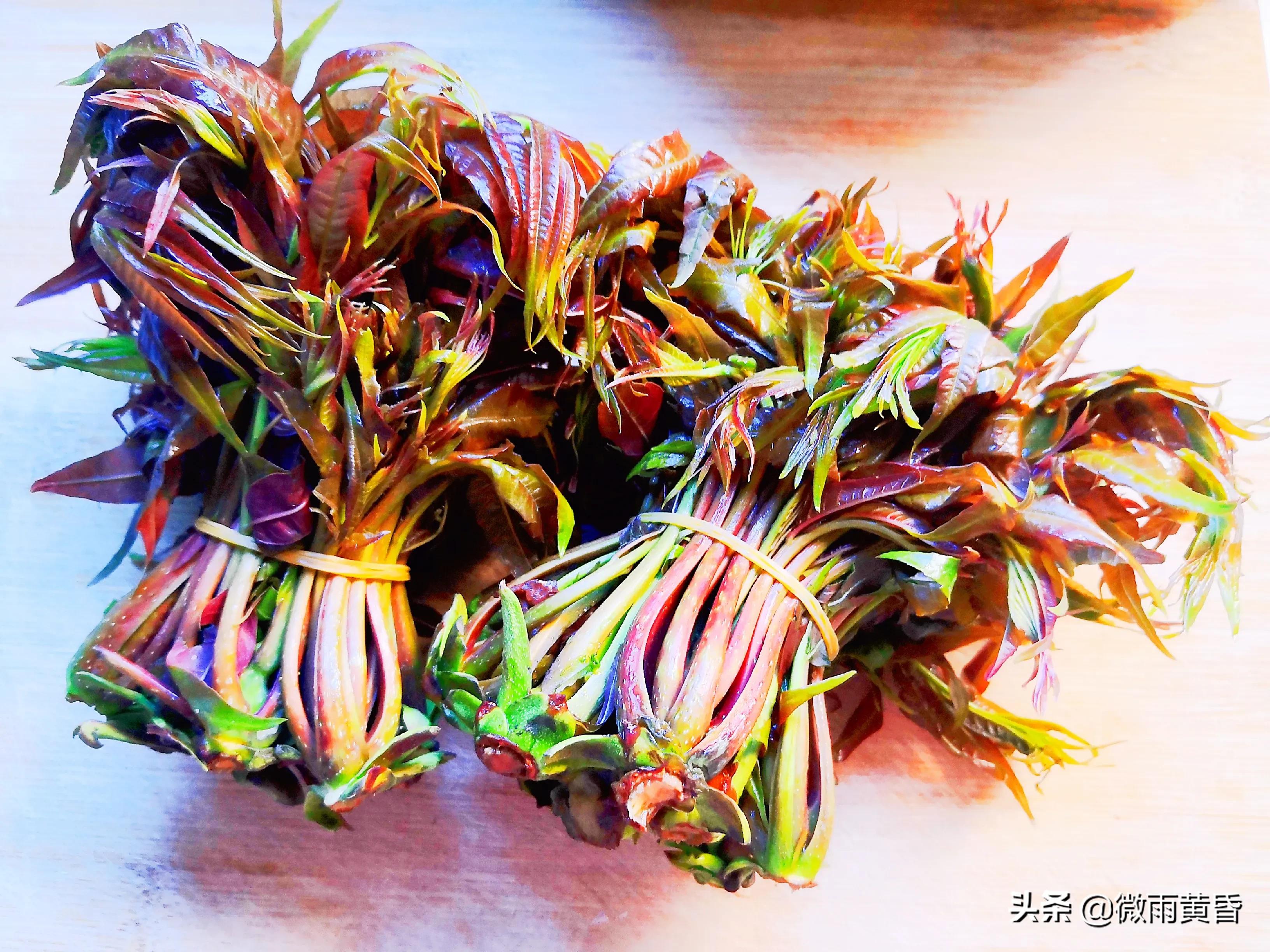 人间有味是清欢：香椿芽