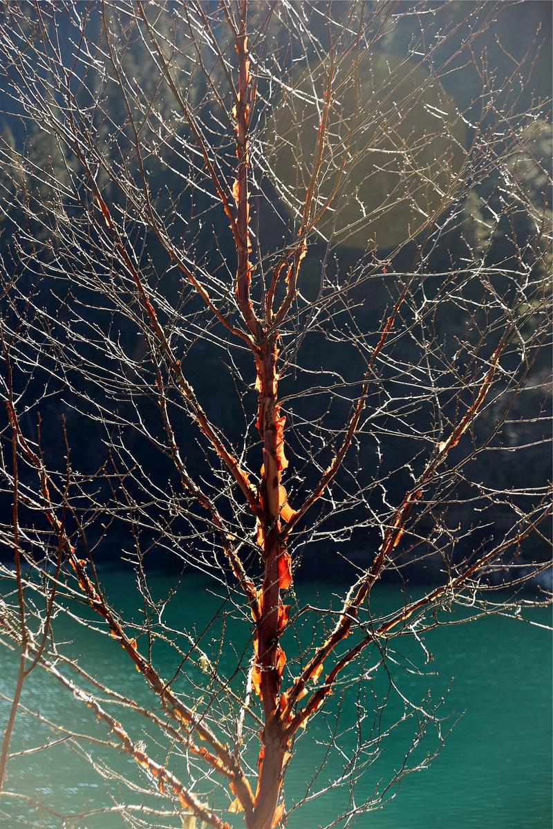 置身于童话中的九寨沟,畅游人间仙境黄龙九寨沟七日游