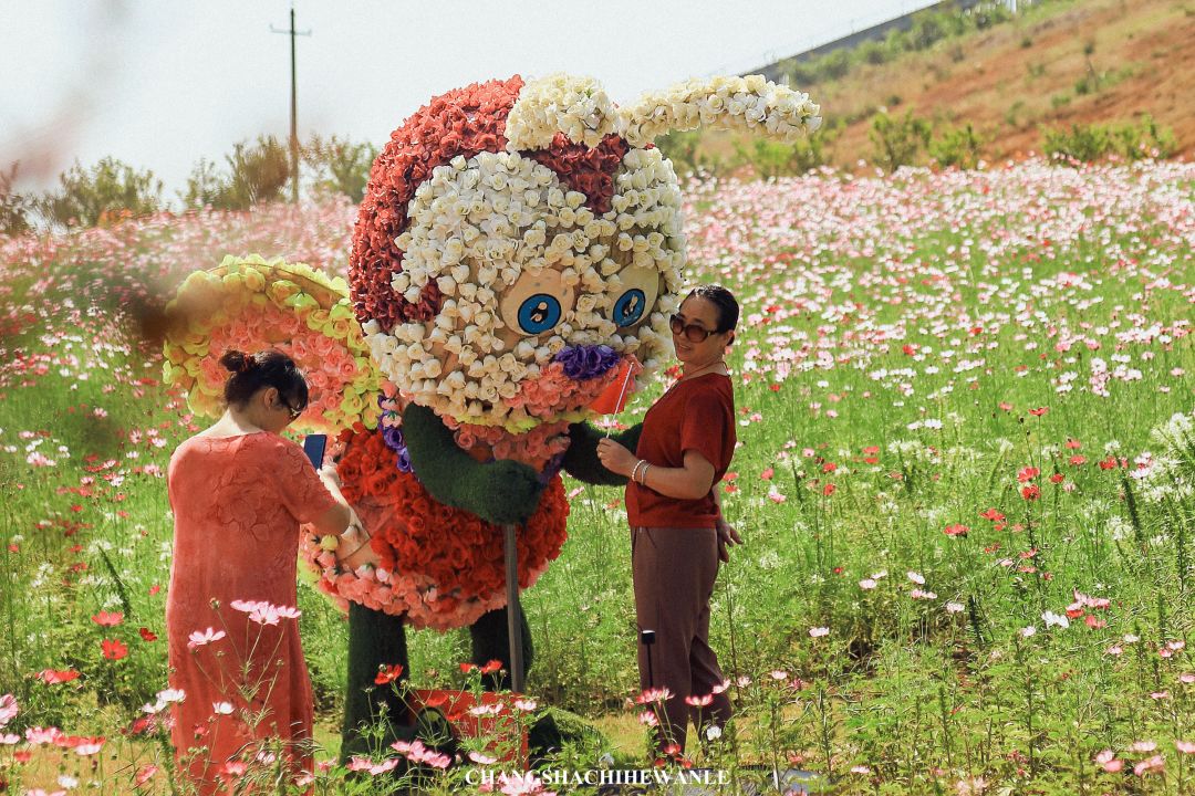 秋天的沙湖美不胜收,洋沙湖旅游