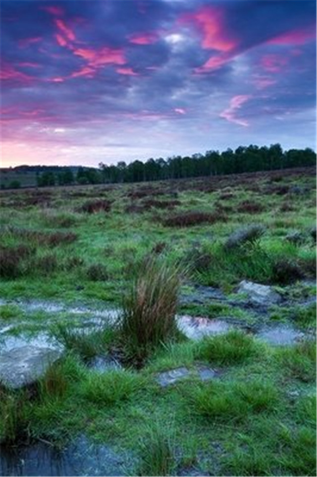 高清风景壁纸无水印全屏壁纸,风景壁纸手机壁纸