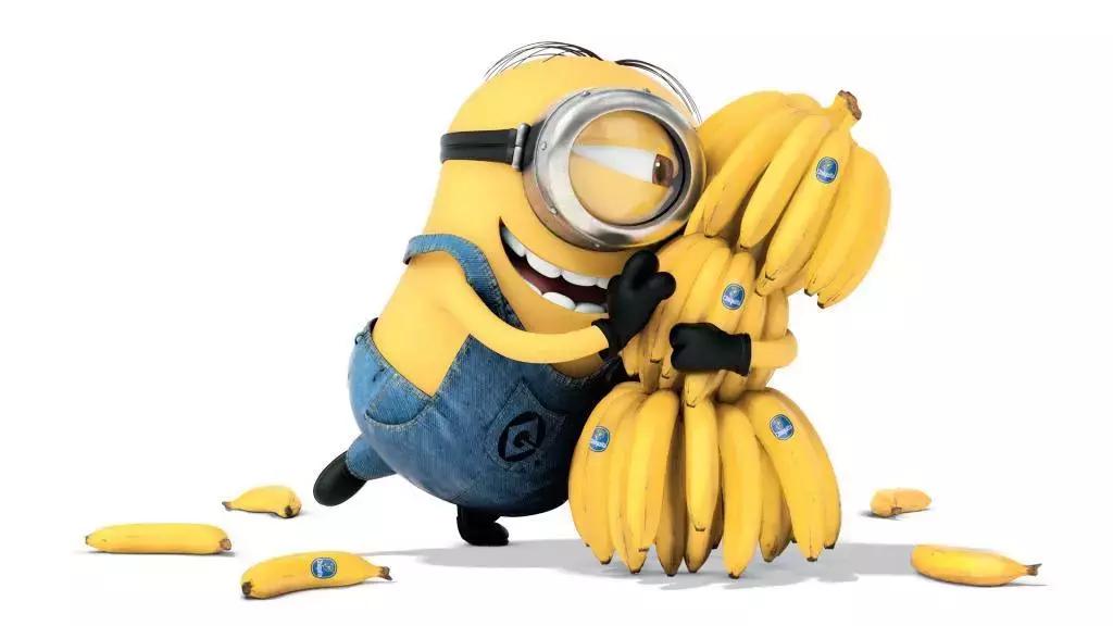 生活就是如此，我们想要独角兽，却得到了山羊