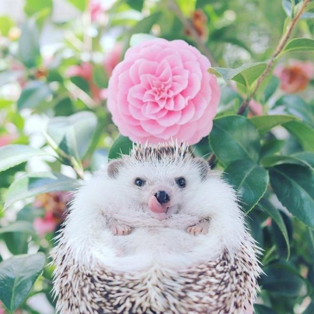 幽默讽刺噎死人的短句,精辟幽默到噎死人的短句