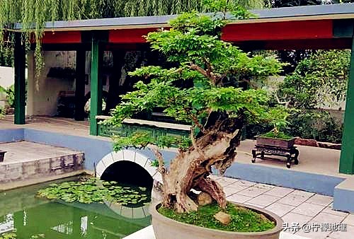 安阳城市中心公园,安阳正在建设的公园