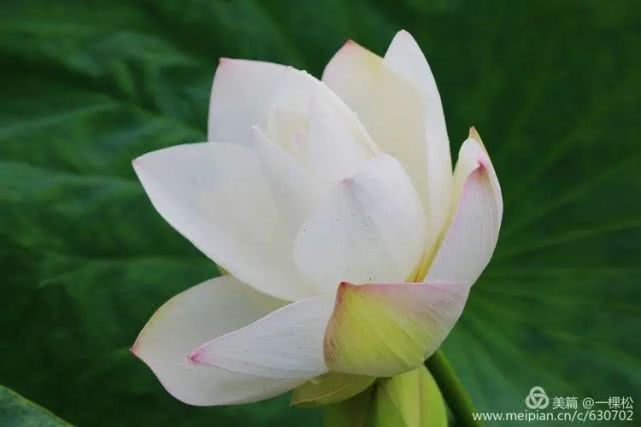 西乡周边景色美的地方,西乡哪里有夜景好看的