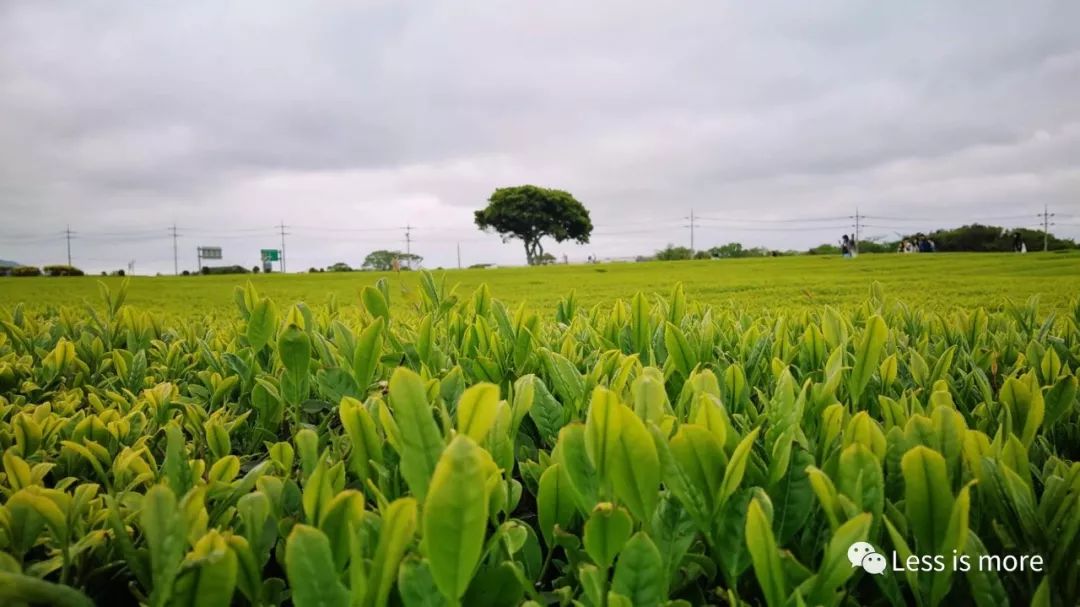 韩国济州岛超详细旅游规划攻略,韩国济州岛攻略自由行