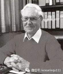 杀死兔子的方法,杀死兔子有什么后果