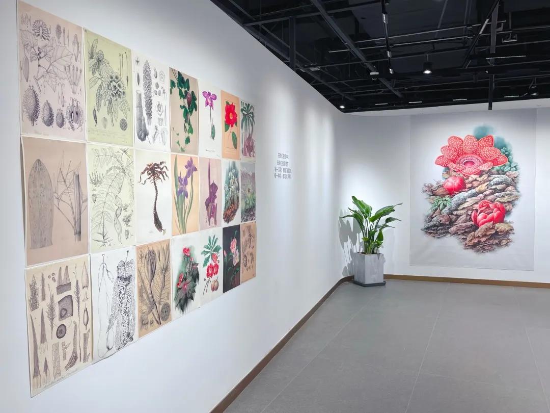 “书香鼓楼”地标，凤凰于飞，华丽转身