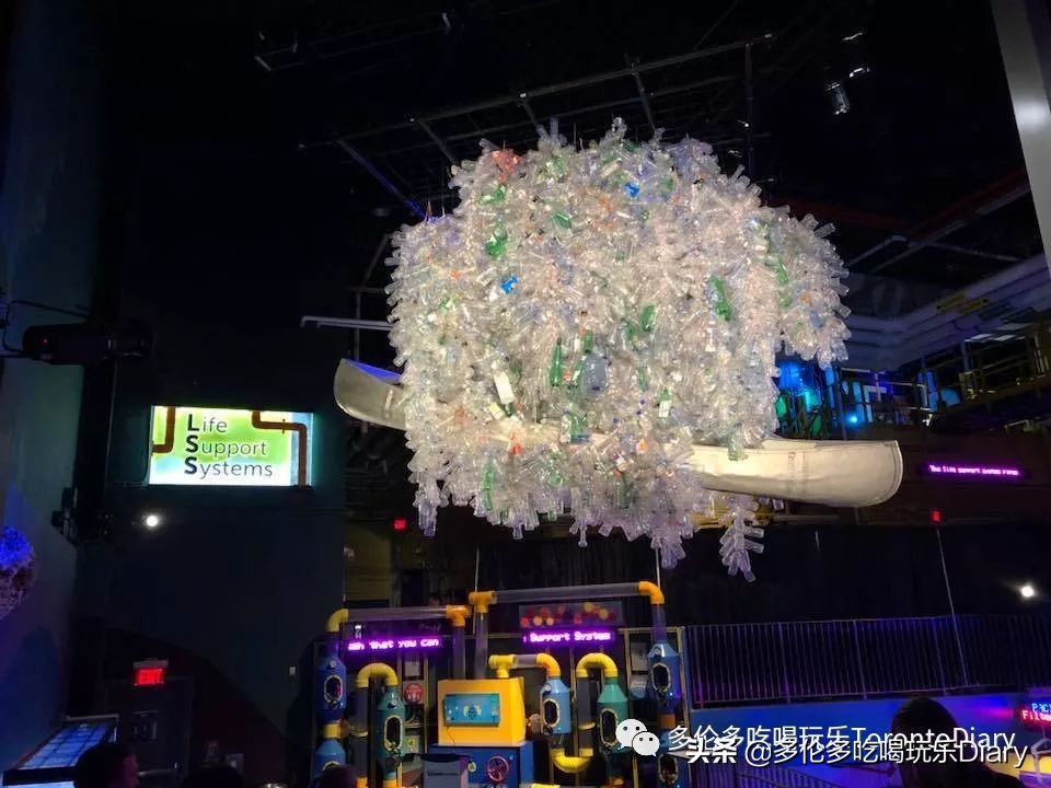 多伦多水族馆旅行,水族馆探索海洋世界的奇妙之旅