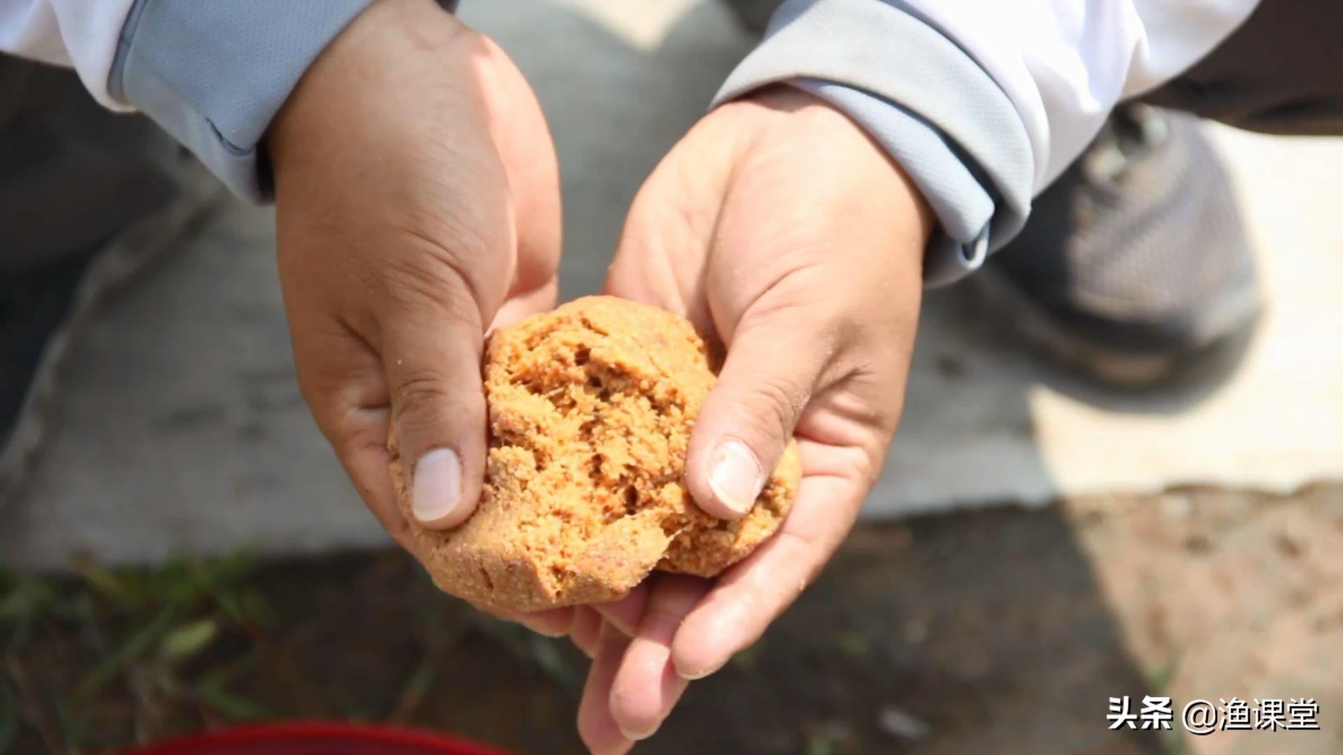 野钓大板鲫渔获,大蓝鲫饵料试钓效果
