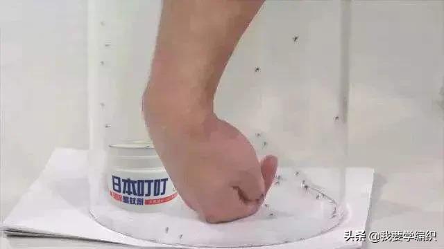 你知道蚊子为什么被扇吗,蚊子除了怕蚊香害怕什么