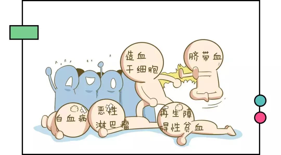 这都9102了，你怎么还在这些“辣鸡”上浪费钱？