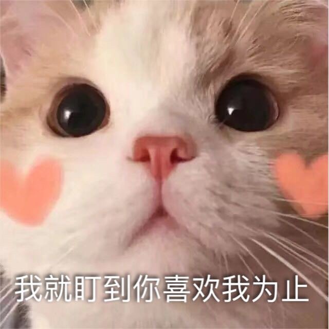 太有意思了动态表情包,表情包游戏很搞笑