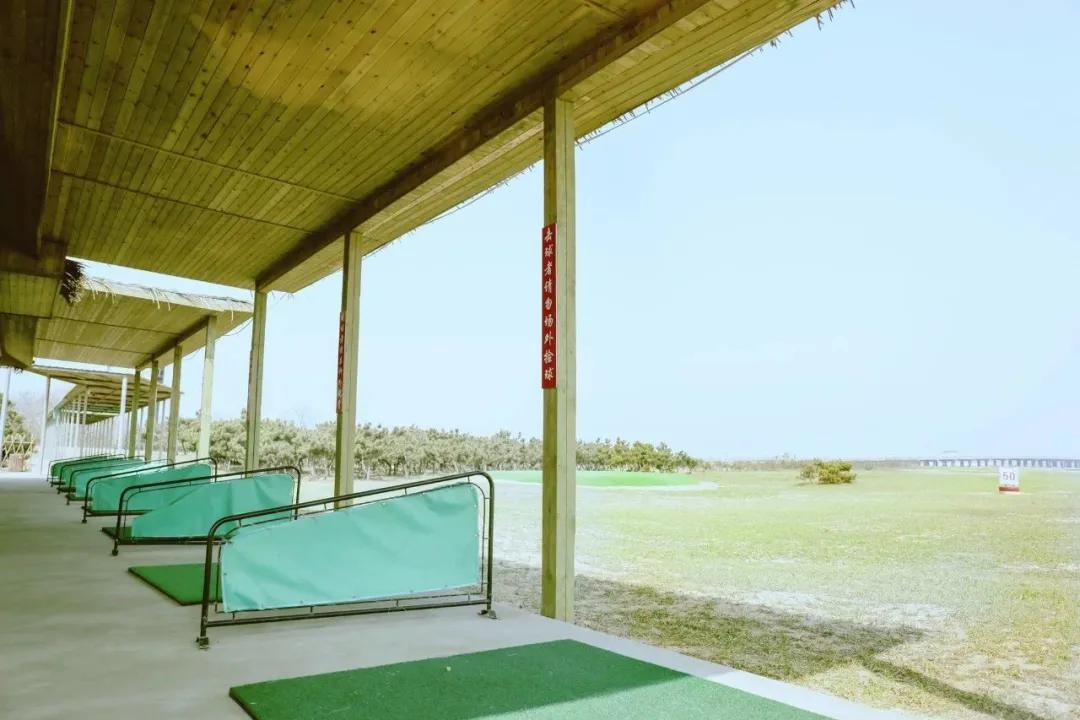 初夏去花海好玩吗,初夏去海边好玩吗