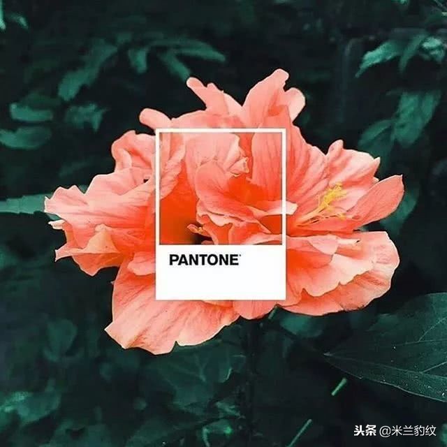 2019年PANTONE流行色一出，某些滞销的色号都有救了
