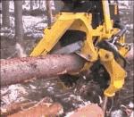 德国的认真和严谨,德国人的严谨和认真有多可怕