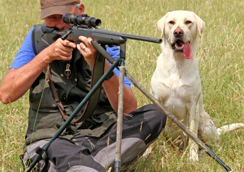 萨科小口径步枪,萨科s20狙击步枪