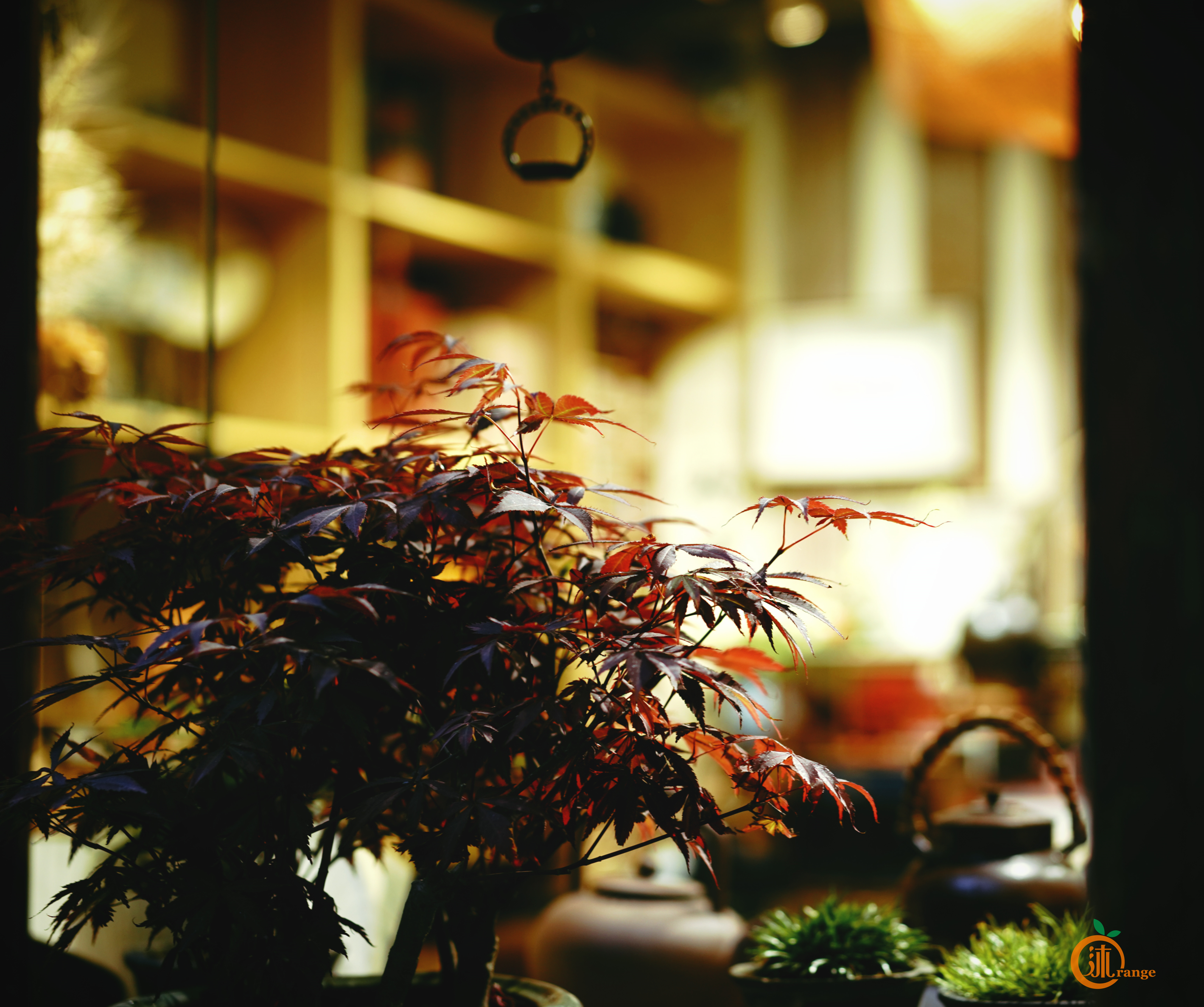 嘉兴城市底蕴,嘉兴为什么被称作鱼米之乡