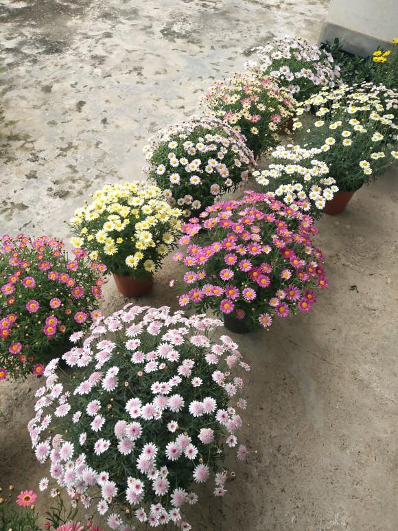 鐜涙牸涓界壒澶忓搴﹀,鐜涙牸涓界壒澶忓ぉ濡備綍搴﹀